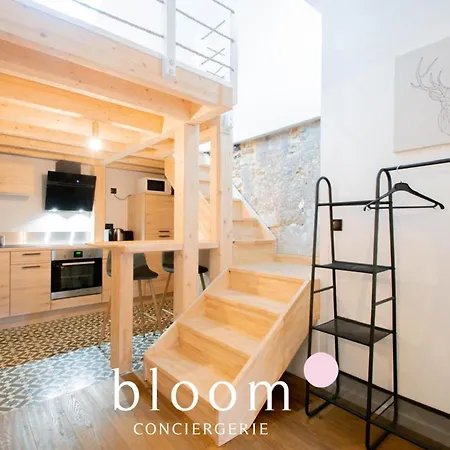 Le Loft Perche De La Vieille נאנסי