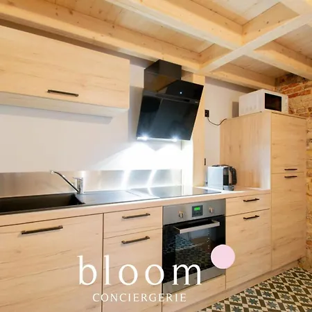 Le Loft Perche De La Vieille * נאנסי