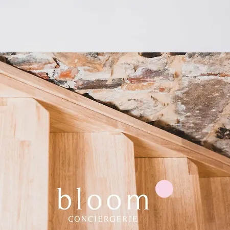 Le Loft Perché De La Vieille Appartamento Nancy