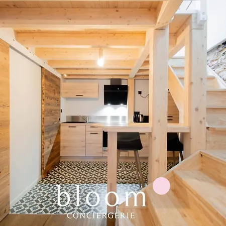 Le Loft Perché De La Vieille Appartamento *