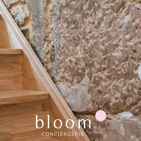Le Loft Perche De La Vieille 公寓