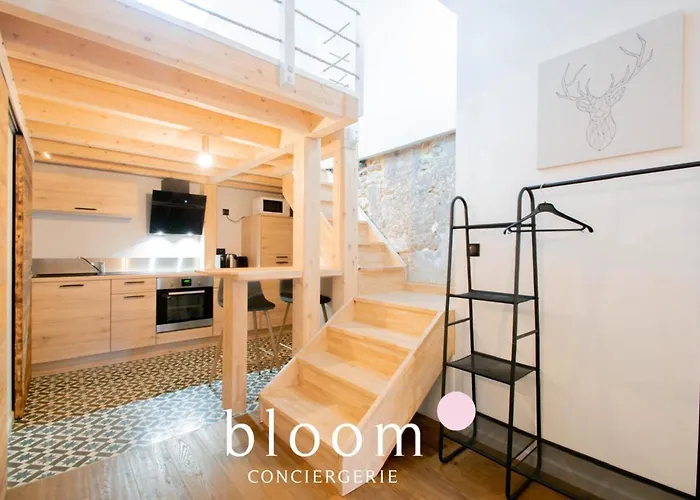 Le Loft Perche De La Vieille נאנסי