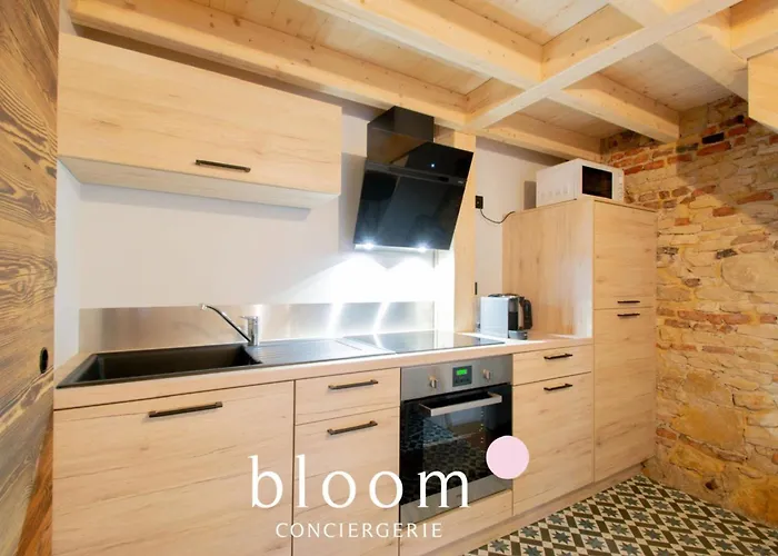 Le Loft Perche De La Vieille * נאנסי