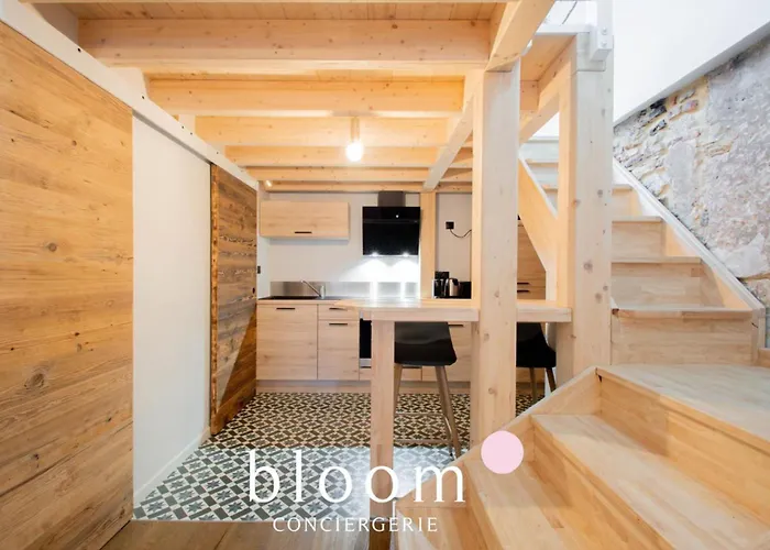 Le Loft Perché De La Vieille Appartamento *